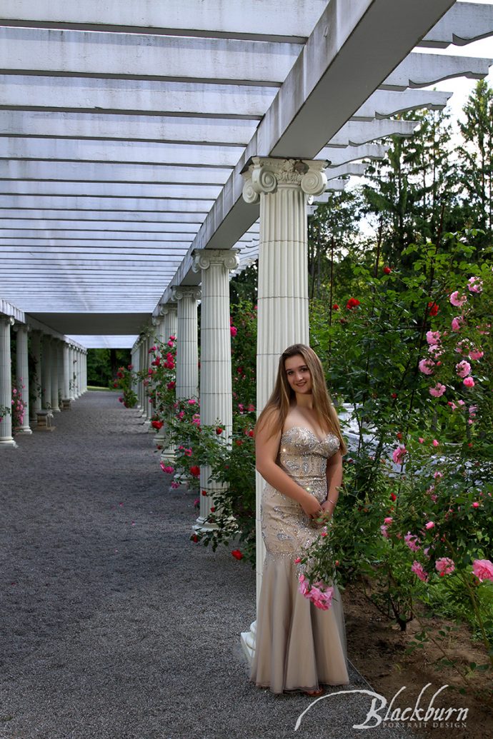 Senior Portrait Saratoga