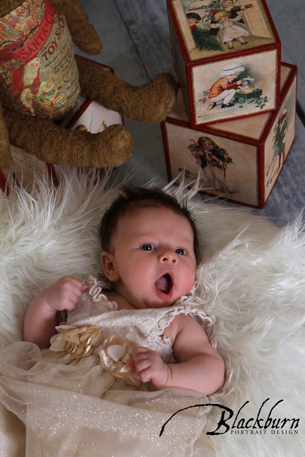 Christmas Photo Saratoga Newborn 