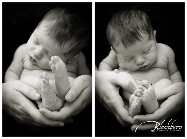 Newborn Photography Saratoga Springs