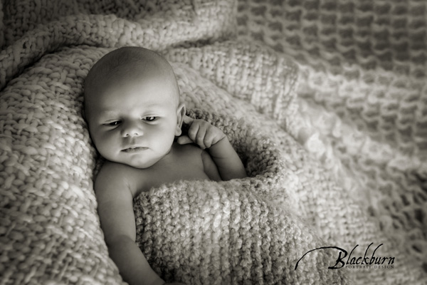 Newborn Baby Photography Saratoga