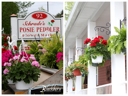 Photographer Saratoga NY Saratoga NY Photographer006
