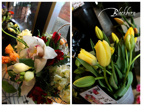 Posie Peddler Florist Saratoga Springs Photos Saratoga NY Photographer013