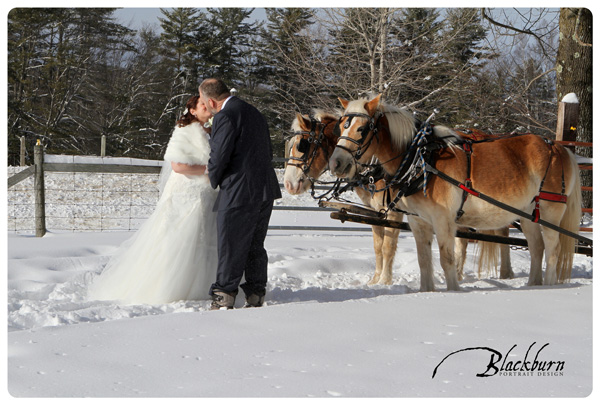 Wedding Photos Winter Sleigh Ride