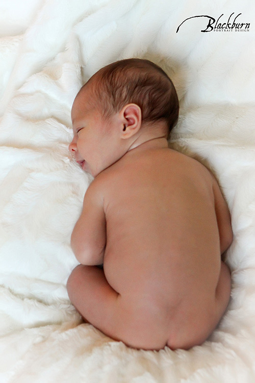 Baby Newborn Photos Saratoga