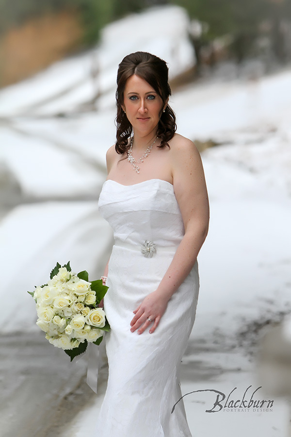 adirondack-winter-wedding-photo-fern-lodge