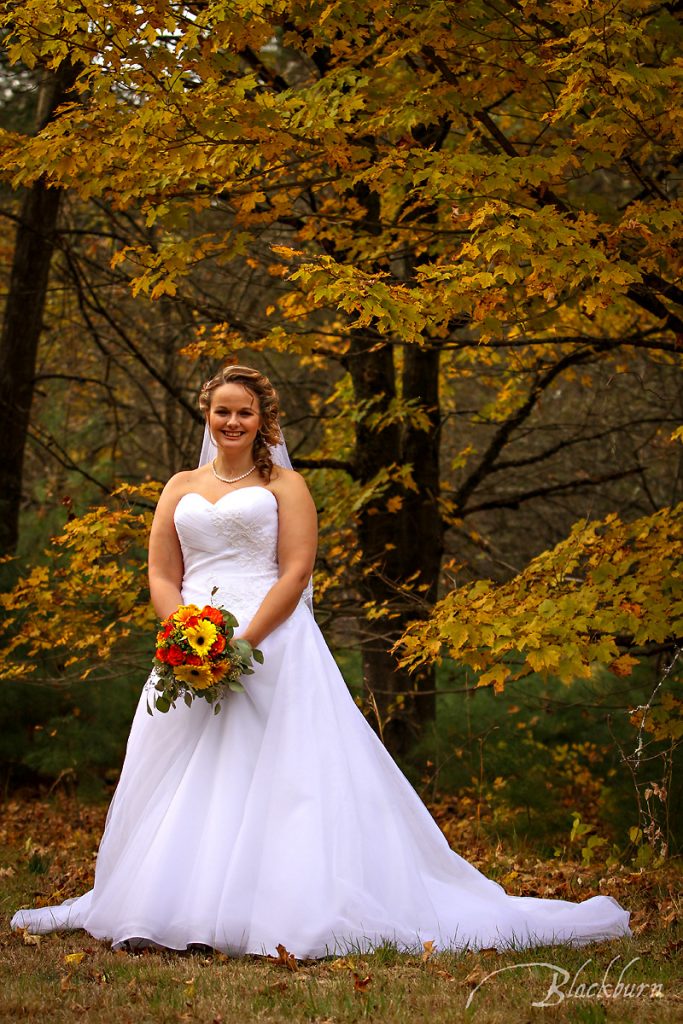 Saratoga State Park Wedding Image