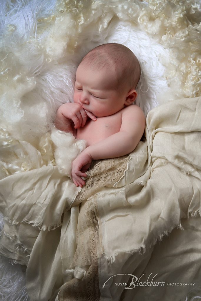 Saratoga Springs Newborn Photography Studio