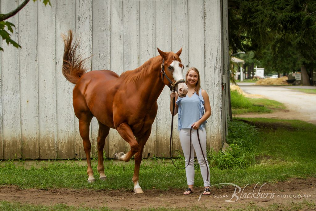 Saratoga Equine Photos